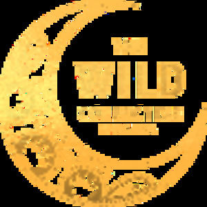 Meet your Posher, Elly